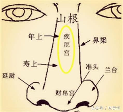 疾厄宮氣質|【疾 厄 宮 氣質】揭秘你的疾厄宮氣質！06號主管最青睞！